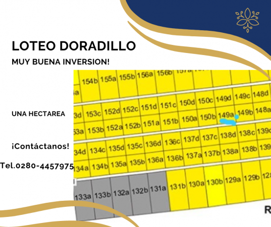 Hectarea Loteo Doradillo sobre calle Aguilucho