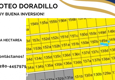 Hectarea Loteo Doradillo sobre calle Aguilucho